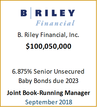 201809-BrileyFinancial-JointBookRunningManager
